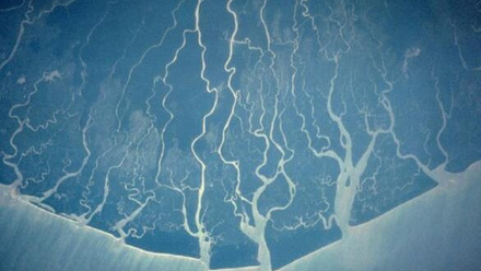 14580_nigerdelta_nasa_188599_crop.jpg