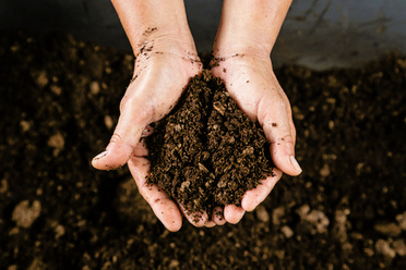 Soil in hands.jpg
