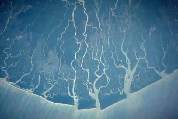 14580_nigerdelta_nasa_188599_crop (1).jpg