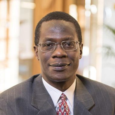 Professor Robert Mokaya