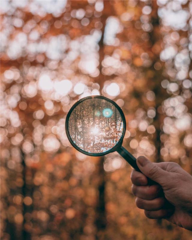 round black and green magnifying glass.jpg