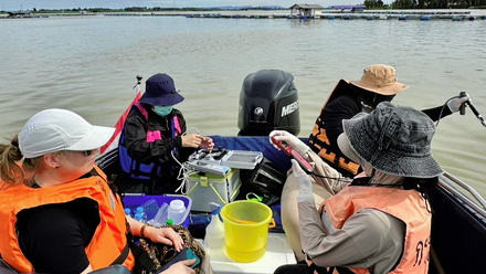 s__52183055_0_146185_crop.jpg